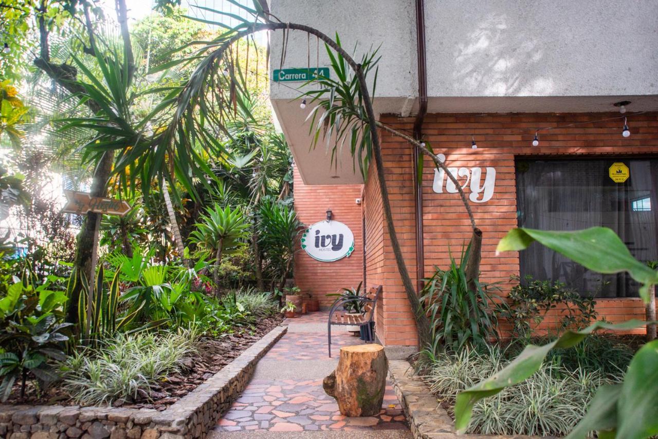 Ivy Hostel Medellin